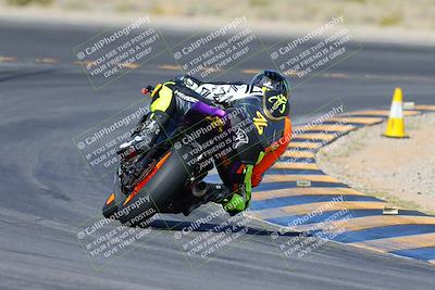 media/Apr-14-2024-SoCal Trackdays (Sun) [[70f97d3d4f]]/2-Turn 11 Backside (935am)/